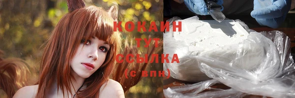 ГАЛЛЮЦИНОГЕННЫЕ ГРИБЫ Баксан