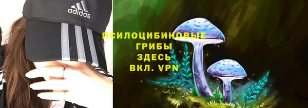 ГАЛЛЮЦИНОГЕННЫЕ ГРИБЫ Баксан