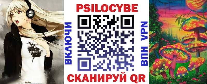 Псилоцибиновые грибы Psilocybe  закладка  Снежинск 